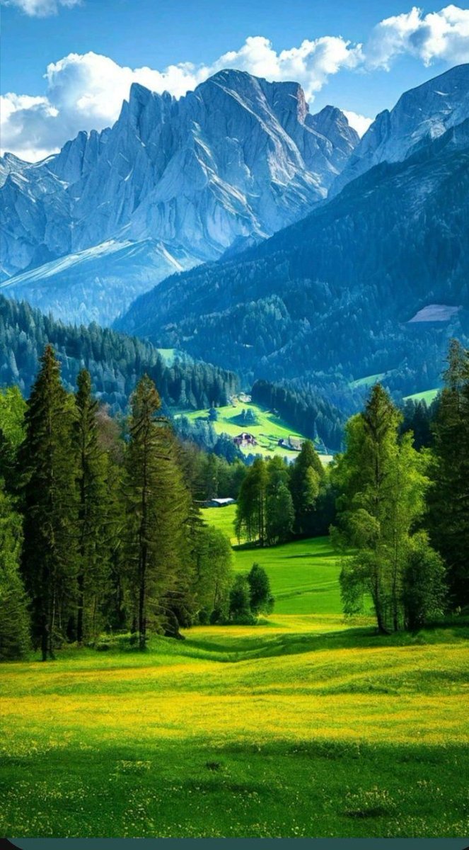 김윤 박사 (@peaceandlight28) on Twitter photo 