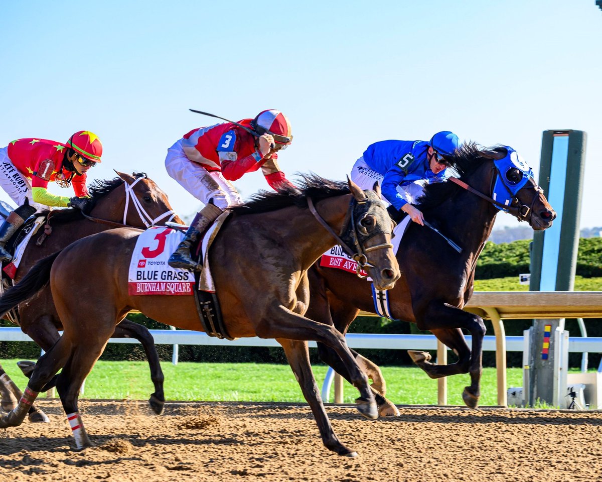 Anne Eberhardt Keogh tweet media