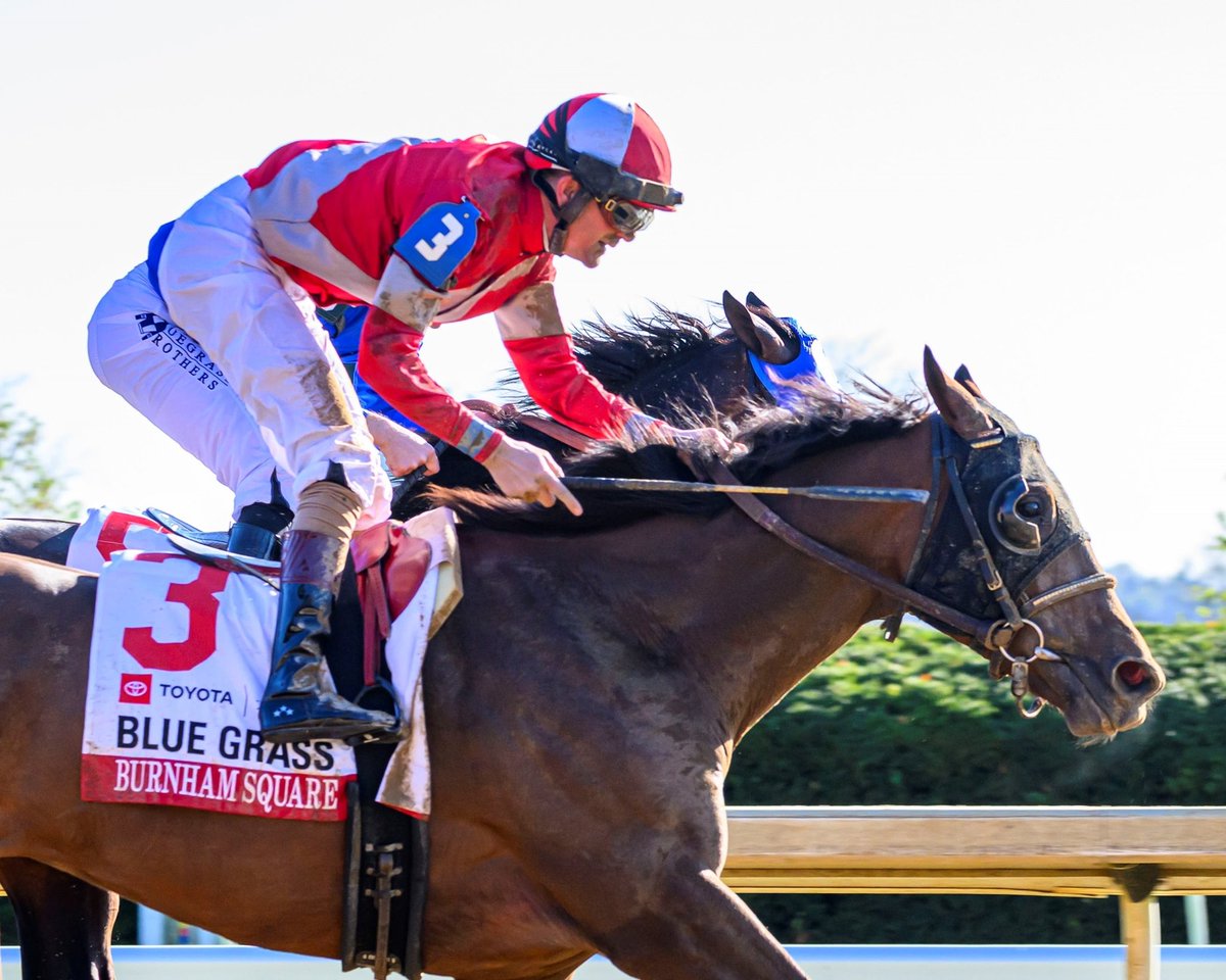 Anne Eberhardt Keogh tweet media