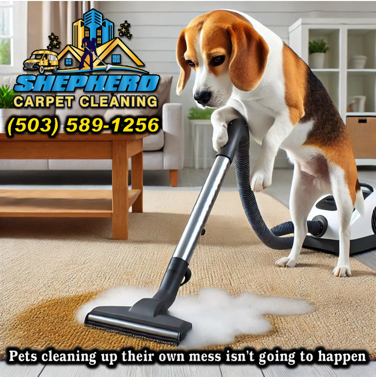 DayInSalem's tweet photo. https://t.co/dxYPoBw6ER Shepherd Carpet Cleaning -* Because Pets Cleaning Up Their Own Mess Isn't Going To Happen. Call Us Today For Your FREE Quote: 503-589-1256 https://t.co/XTN0CpHWXr #dayinsalem https://t.co/ErMCYMdkYl