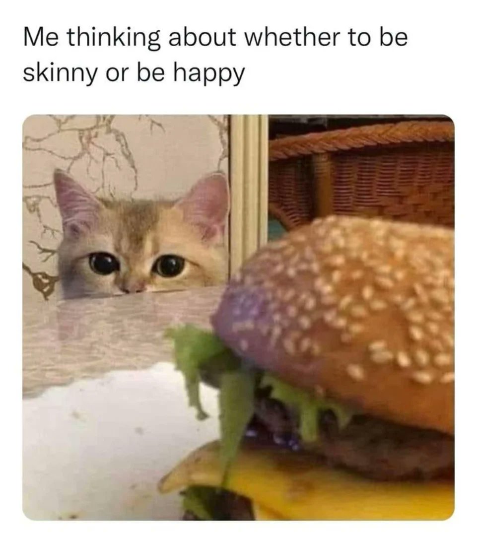 smol silly cat tweet media