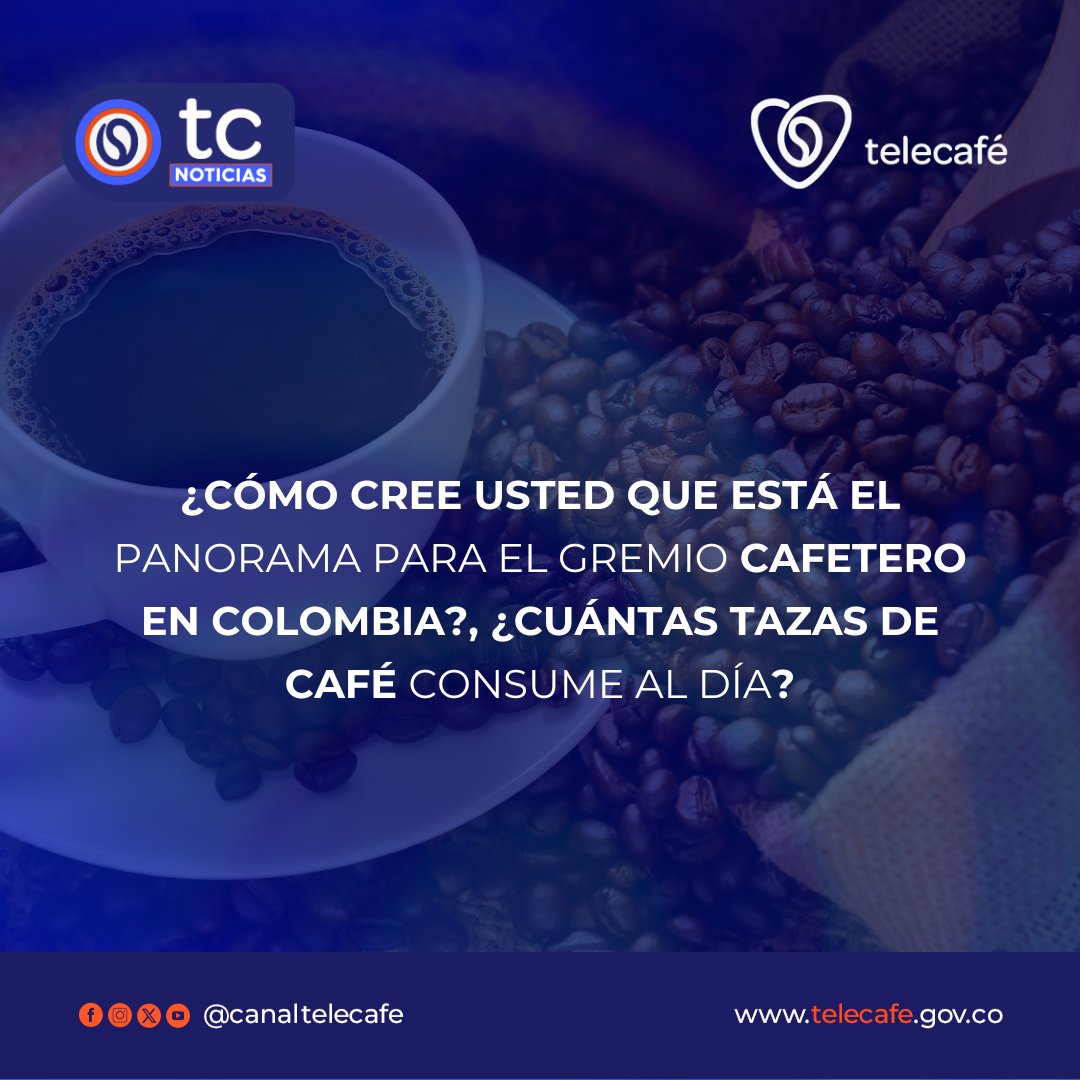 canaltelecafe's tweet image. #PreguntaDeLaSemana 💬📲 ¿Cómo cree usted que está el panorama para el gremio cafetero en Colombia?, ¿cuántas tazas de café consume al día?☕

#CanalTelecafé #EjeCafetero #Colombia #TelecaféNoticias