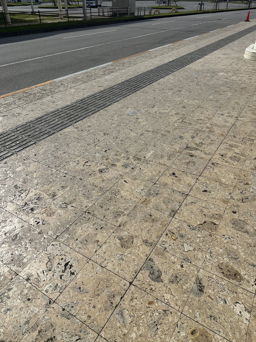 ひーぱ。ギリ30代⭐️ tweet media