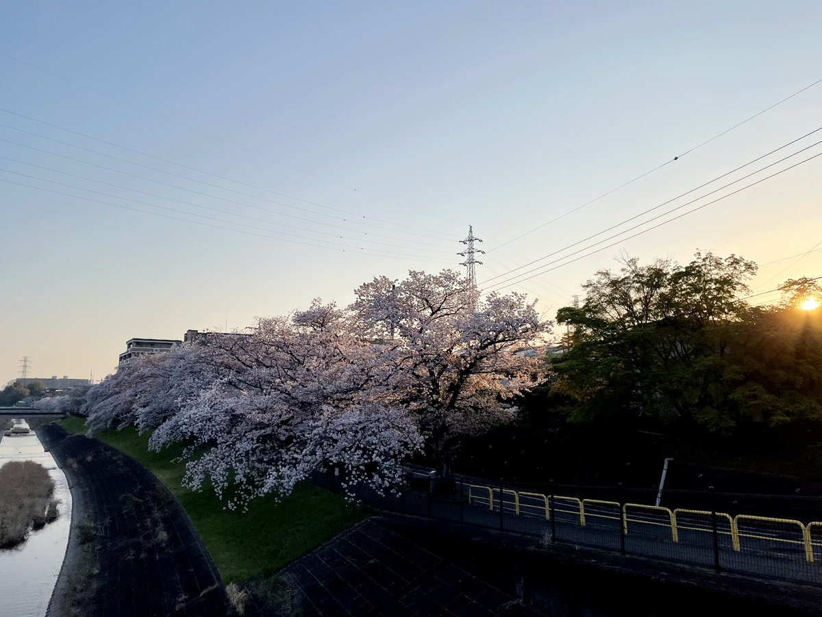 office_sugimoto's tweet photo. おはようございます。東京 #浅草橋 は☀️。
トランプ大統領の関税政策による株価の変動などで、なかなか経済が安定してくれませんね…😅。
とりあえず、週末までは桜🌸も楽しめそうですし、新緑🌲シーズンももうすぐです！
本日もよろしくお願いします‼️

#企業公式が毎朝地元の天気を言い合う https://t.co/4TCboNKYYs