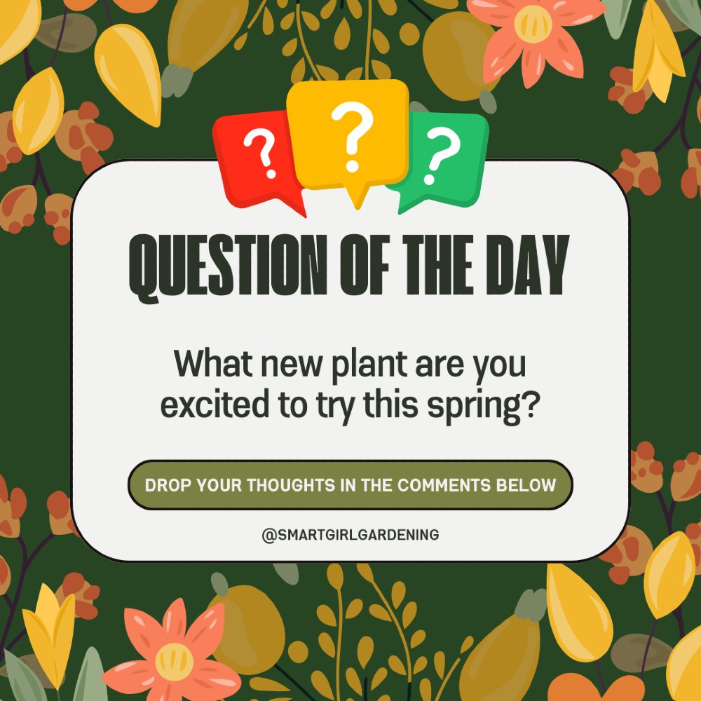 SmartGirlGarden's tweet photo. Share your spring plant aspirations—let’s inspire each other! 🌷

#GardenChat #SpringPlans https://t.co/THnJVnUcsY