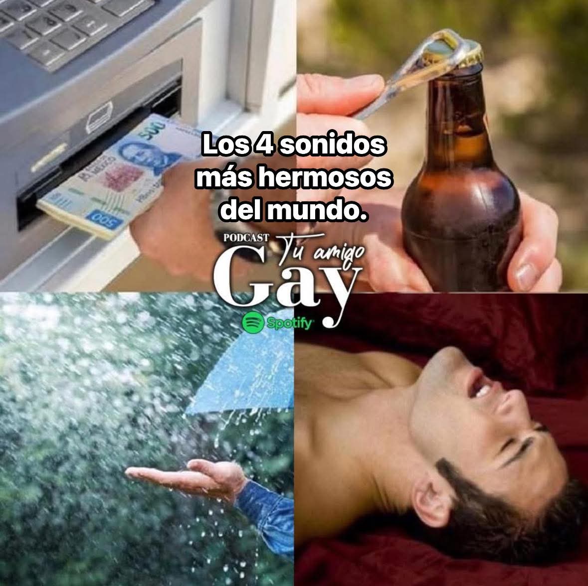 Jorge61023914's tweet photo. Y no pienso discutir... https://t.co/4w94Hq8O38