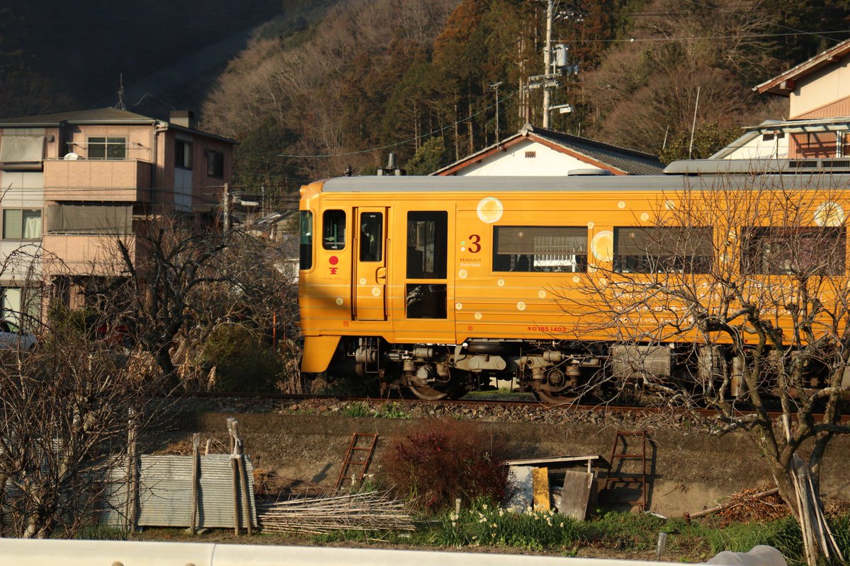 KK777S's tweet photo. 伊予灘ものがたり

撮影日　2025/3/1(土)

#愛媛県
#10周年ありがとうこれからも
#菜の花
#伊予灘ものがたり
#カメラ男子
#写真撮ってる人と繋がりたい https://t.co/C2RUqzTmN6
