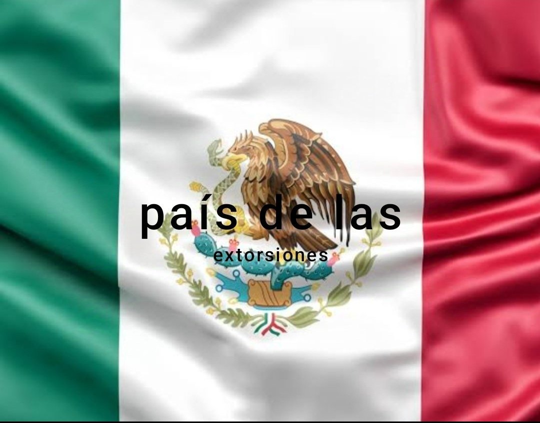 solo solin solito tweet media