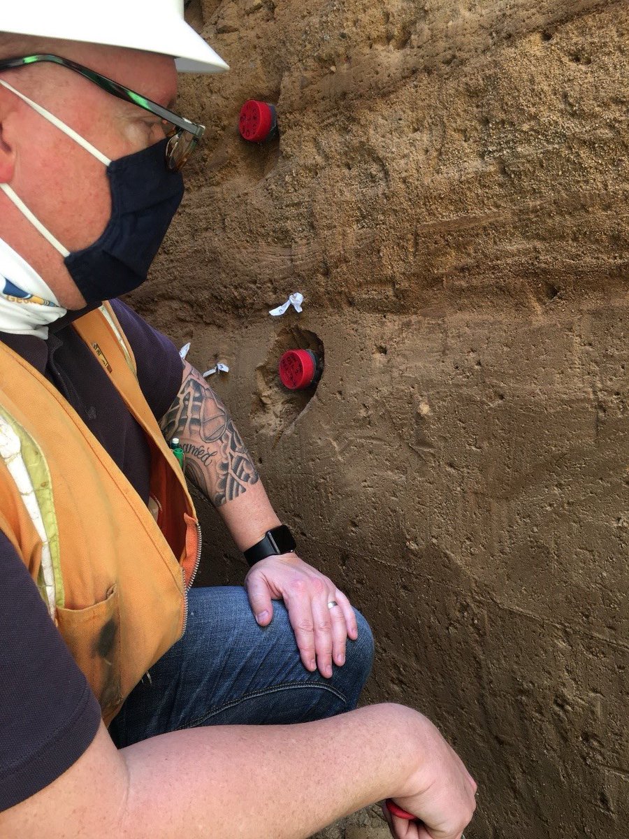 Brian Olson 🥥🌴🗳️ tweet media