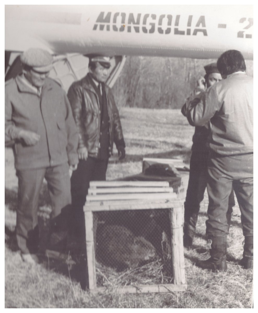 Өглөөний мэнд

Нисэхийн 100 жилд:
Туулд тавьсан минж өссөн болвуу?
Шооройжав багш Лхамсүрэн гуай нартай