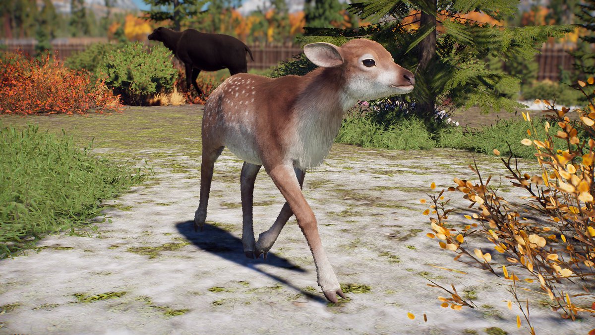 DracoLizardo's tweet photo. Wir Unterbrechen das Laufende programm für ein Paar Deerlings! #Deerlings #PrehistoricKingdom sie wollen euch die Tränen ablecken damit ihr nich teraurig seit ! 🥺 https://t.co/qb6hZ7uSUW