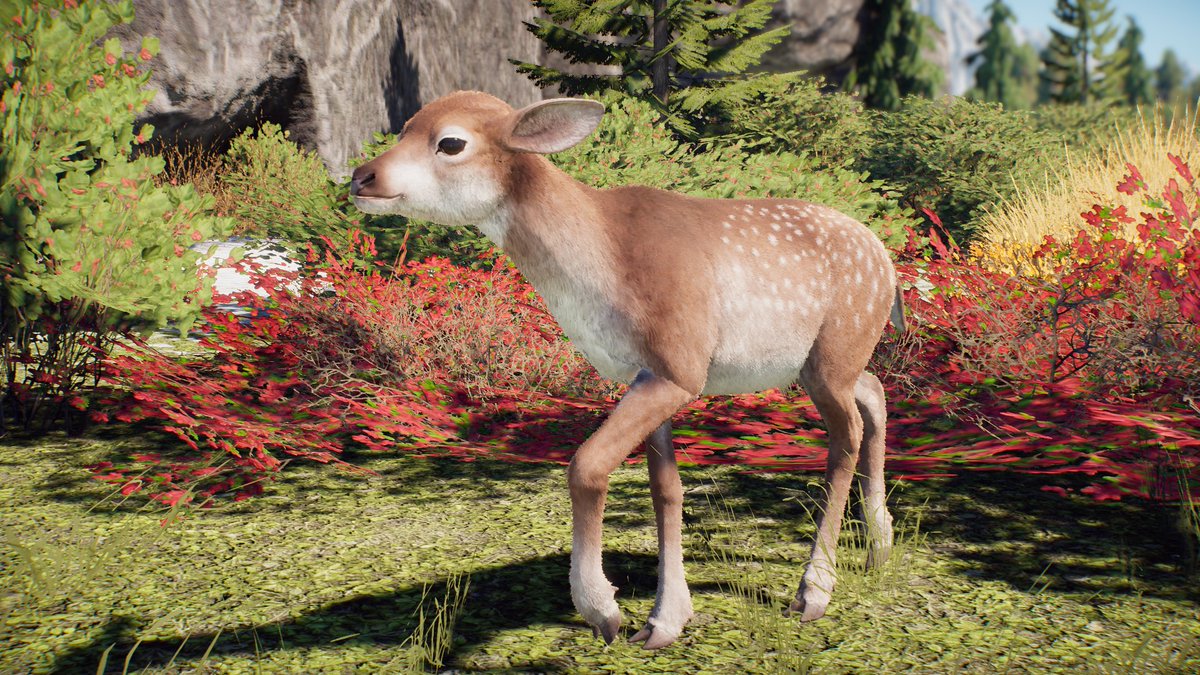 DracoLizardo's tweet photo. Wir Unterbrechen das Laufende programm für ein Paar Deerlings! #Deerlings #PrehistoricKingdom sie wollen euch die Tränen ablecken damit ihr nich teraurig seit ! 🥺 https://t.co/qb6hZ7uSUW
