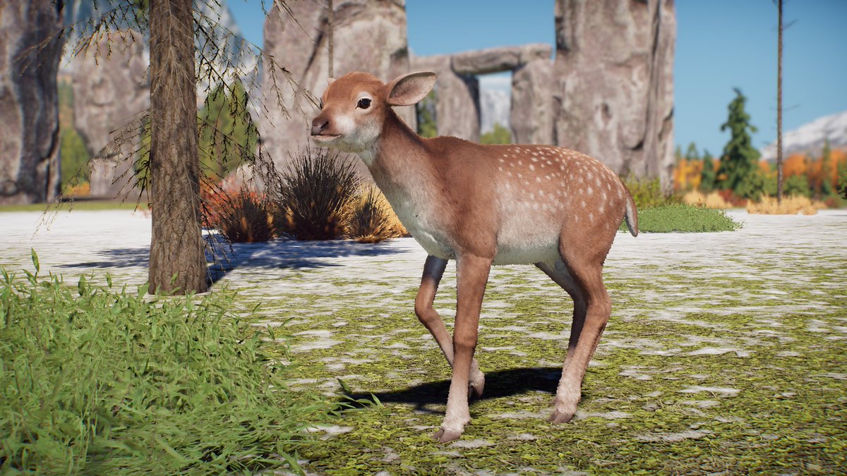 DracoLizardo's tweet photo. Wir Unterbrechen das Laufende programm für ein Paar Deerlings! #Deerlings #PrehistoricKingdom sie wollen euch die Tränen ablecken damit ihr nich teraurig seit ! 🥺 https://t.co/qb6hZ7uSUW