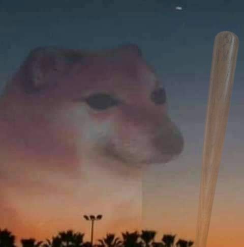 Dr Monkey Business * tweet media