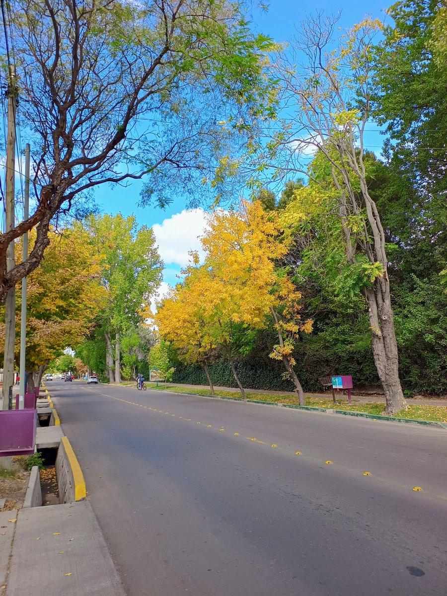 TatiiiDS's tweet photo. Iniciando #otoño 🍁
Calle Joaquín V. González 
#GodoyCruz #Mendoza 
#FotoSinFiltro https://t.co/5E1xVMSxQN