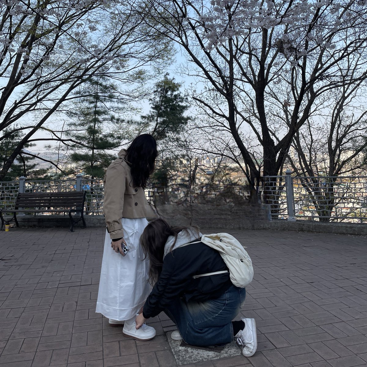 나제이와 백웨옹…