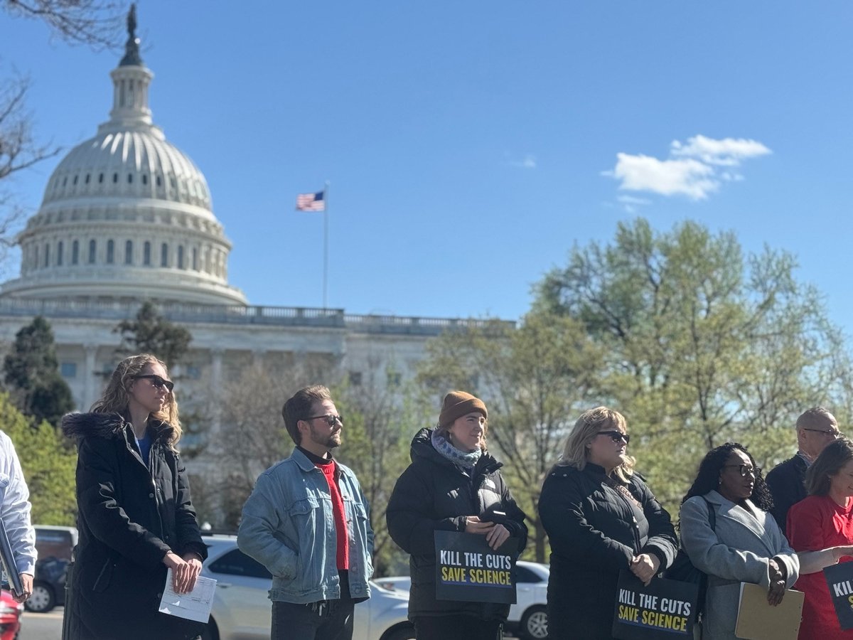 Diana Hussein tweet media