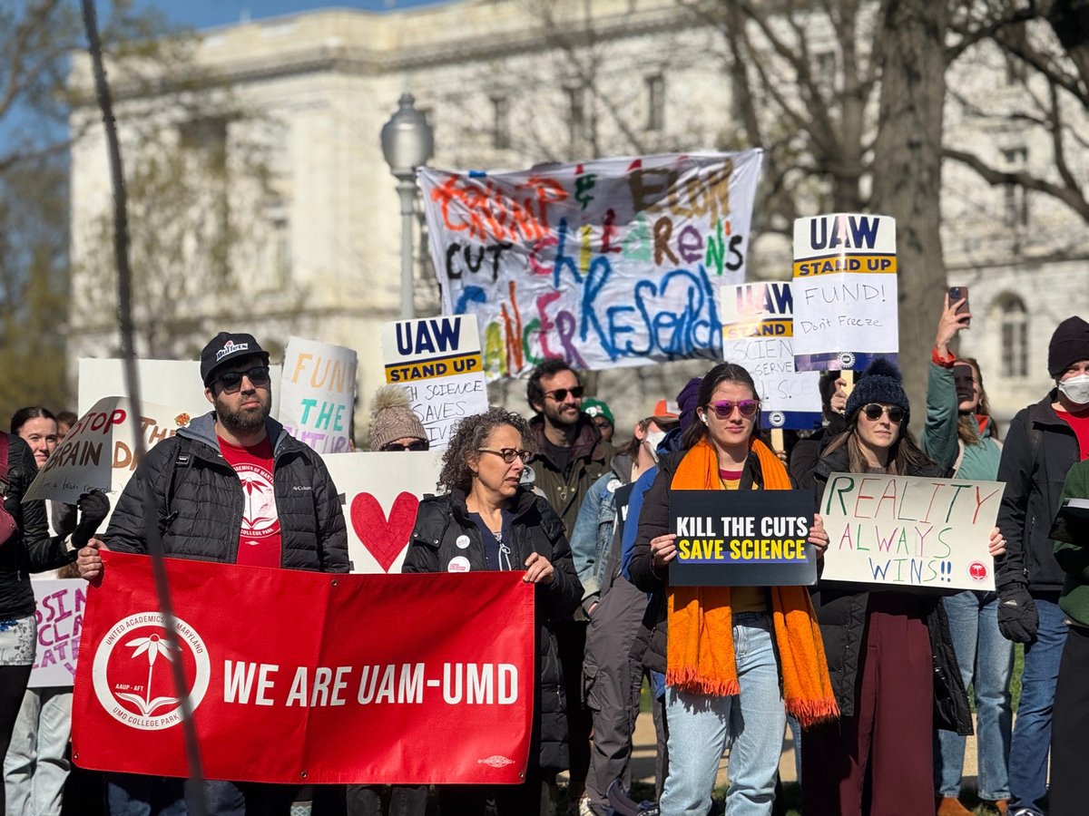 Diana Hussein tweet media