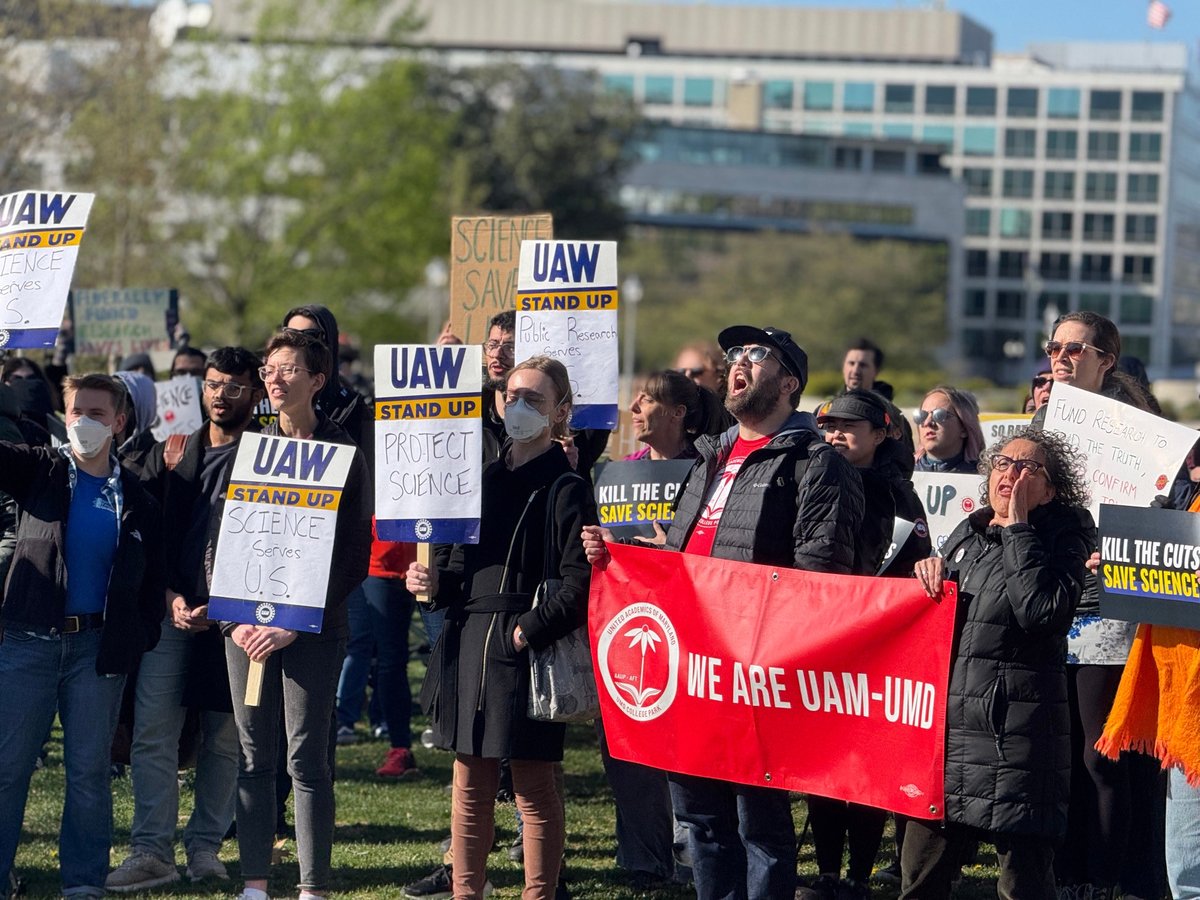 Diana Hussein tweet media