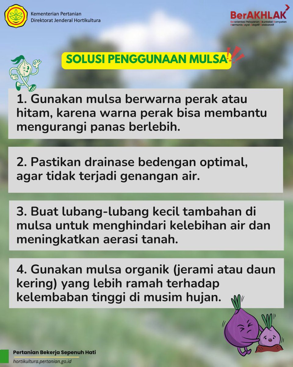 ditjenhorti's tweet photo. Lindungi tanaman bawang merah di musim hujan! 🌧️ Gunakan mulsa perak atau organik untuk mencegah genangan, menjaga suhu, dan tingkatkan aerasi tanah. Solusi hemat dan ramah lingkungan untuk panen optimal!
#fypシ #fypシviral #mulsa #bawangmerah #musimbawang #informatif https://t.co/ppCo82ecgi