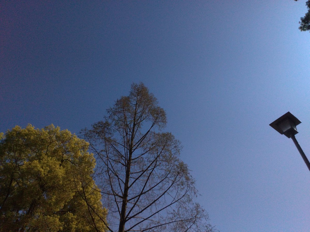 LSS85174130's tweet photo. おはようございます。

今朝の空模様は晴れ☀

#今日は何の日 
#食と野菜ソムリエの日

本日も体調管理と感染症対策に
気を付けてお過ごし下さい。

#名古屋市中区 
#大須 
#イマソラ https://t.co/lDjxEH09GJ