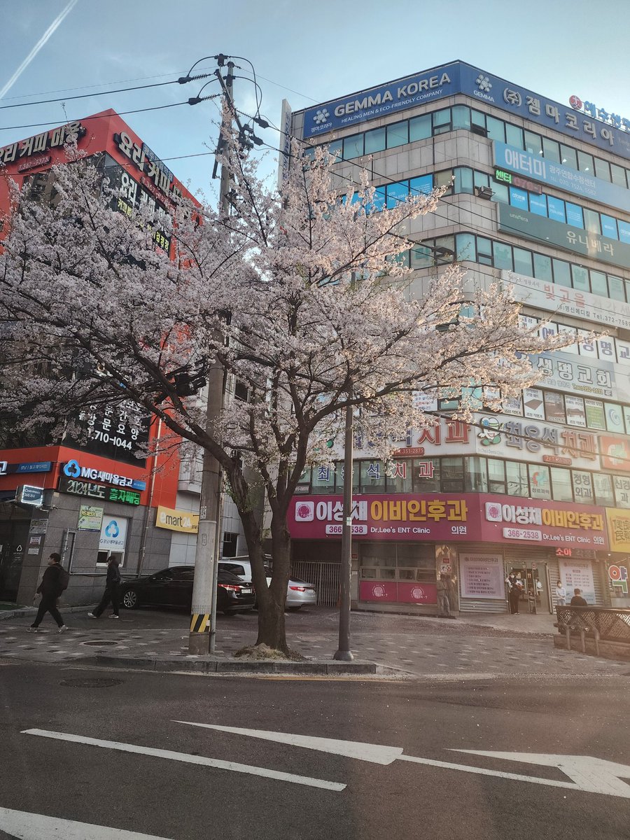 카스 (@castel6405) on Twitter photo 