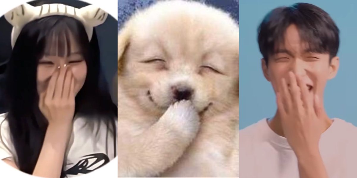 hourlydkyuju's tweet photo. never beating the puppy allegations🐶🐶 https://t.co/AM68GcwifC