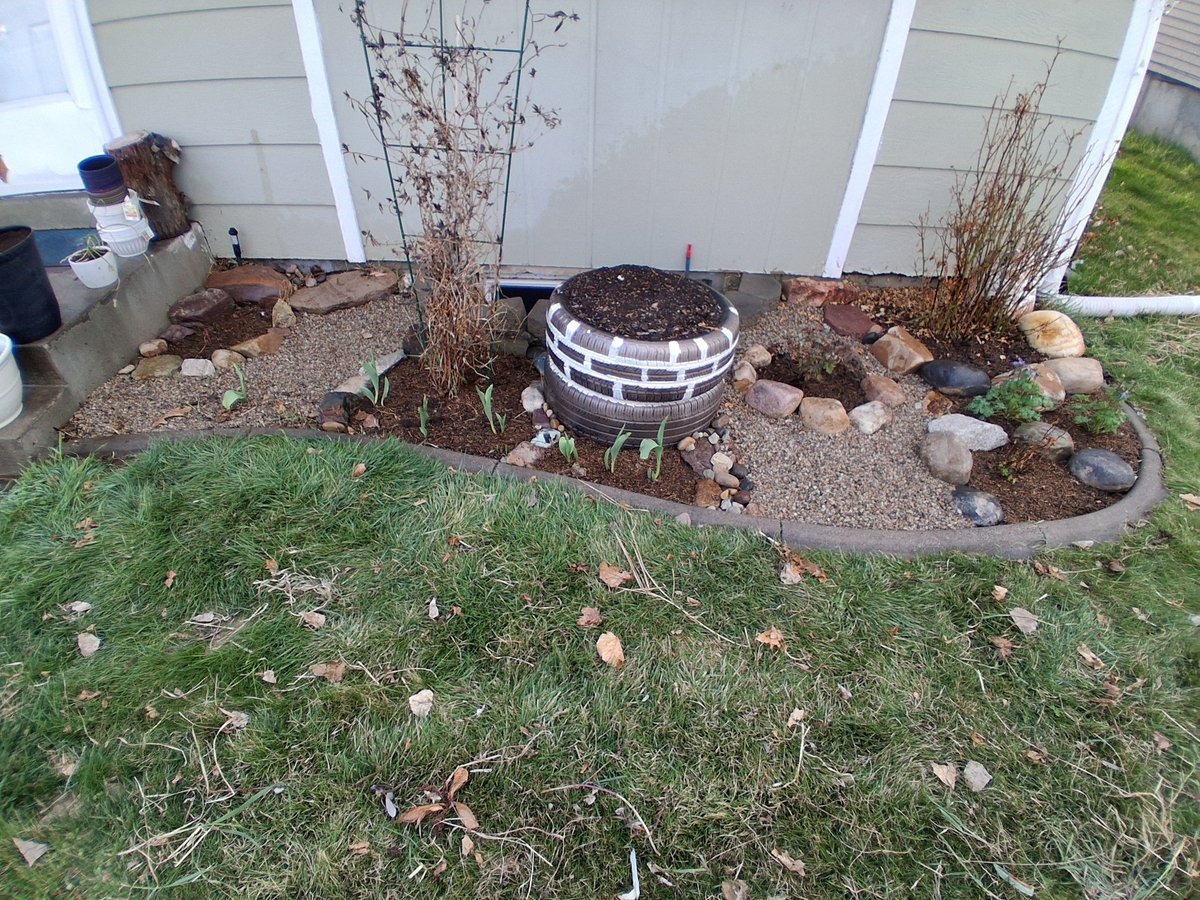 BernalLynn's tweet photo. Working hard on my garden now need to edge, weed eat, and mow. https://t.co/kQg9HvaQto