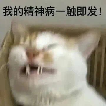 卡比同学 tweet media