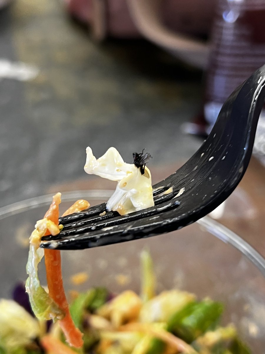 lexsatt's tweet photo. @YourTaylorFarms please figure out why there are dead flys in your salads 😩😩😭😭😭 https://t.co/pJkfCtSCvL
