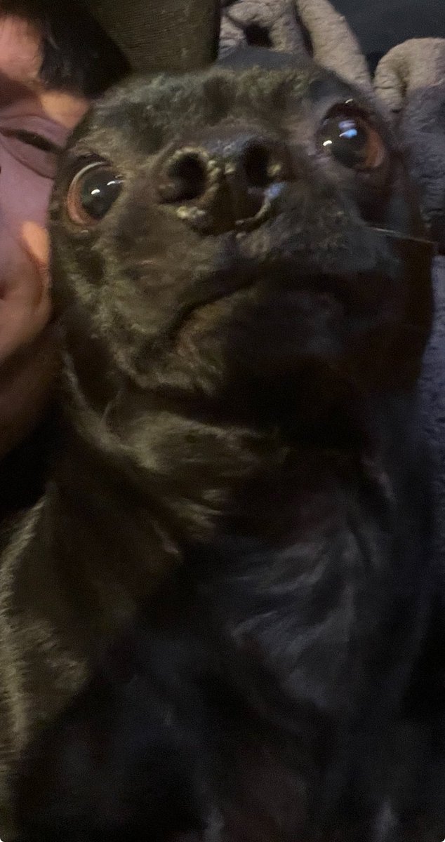 jimi 🦅 tweet media