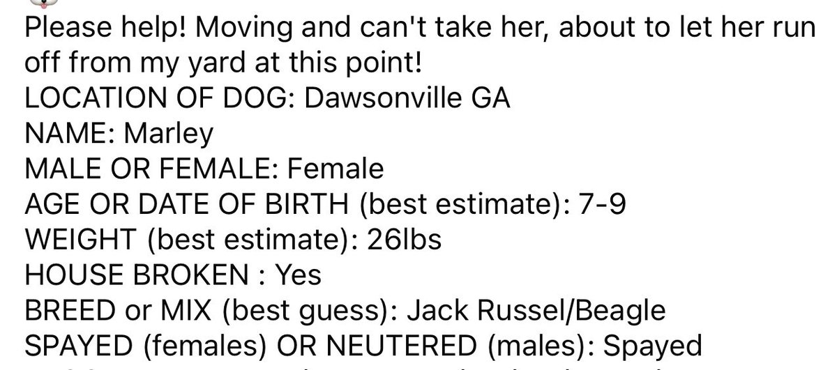 Lola Patolla tweet media