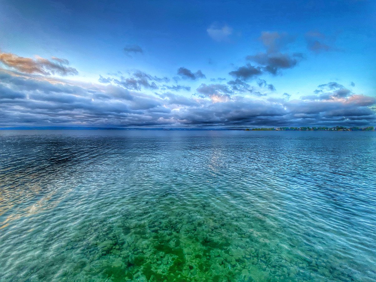 George Woodward tweet media