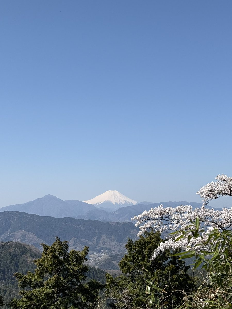 ritoriba's tweet photo. 桜咲いてるし富士山もくっきりでものすごく気持ちいい。

今年は「隙あらば高尾山」を実施していく！ https://t.co/atv2r4B2S1