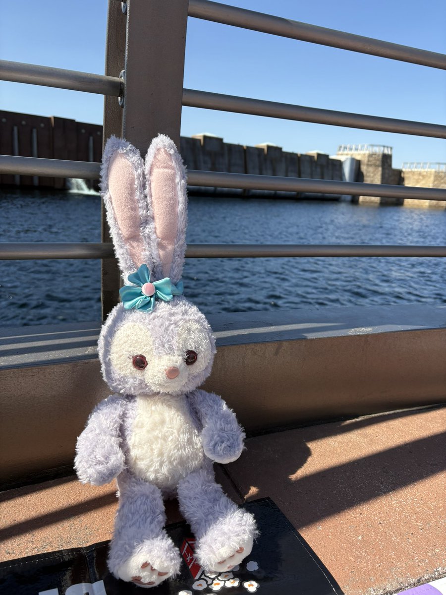 pyongram_s2's tweet photo. ルーちゃんと共に地蔵スタート🐰 https://t.co/P8GbypgTT8