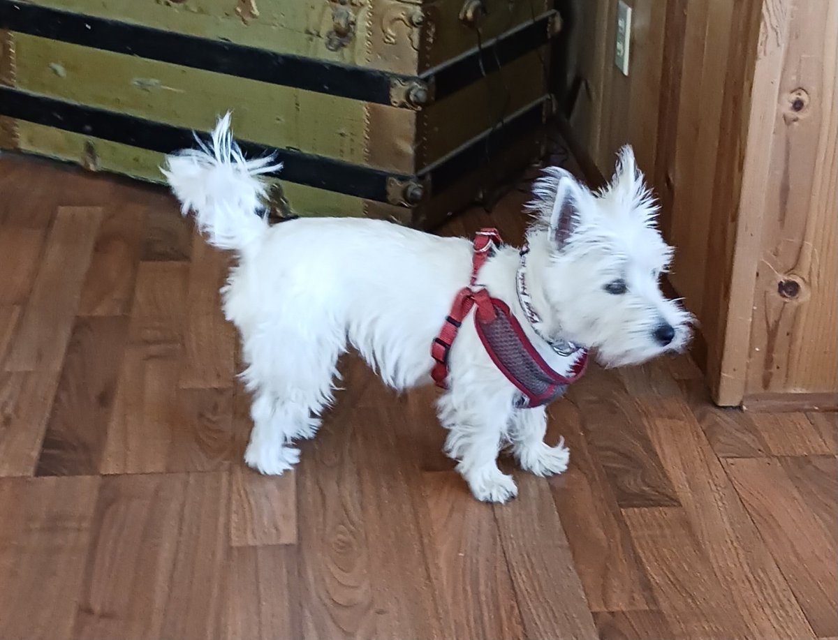 Diz my sisfur Piper Annie