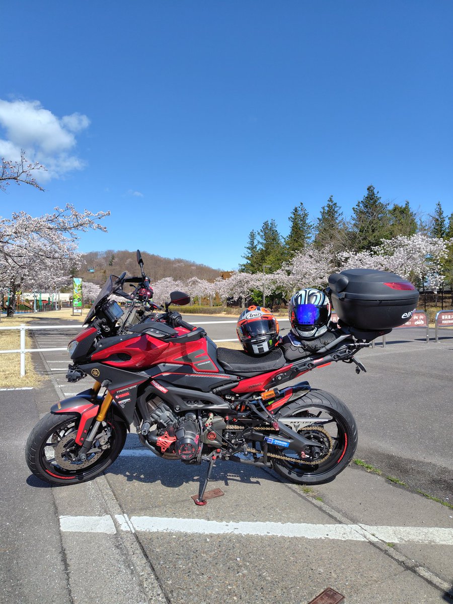 NoriYasu17's tweet photo. 久しぶりにモテギにやって来ましたーRound ZERO🏍️💨
快晴の下満開の桜、これだけで最高です🌸😄 https://t.co/Mj6FYWJwqq