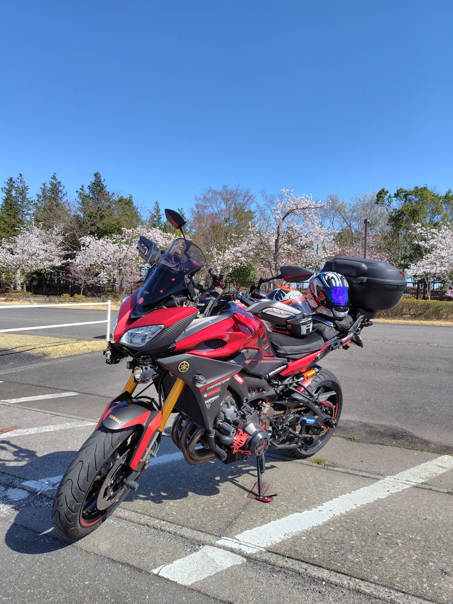 NoriYasu17's tweet photo. 久しぶりにモテギにやって来ましたーRound ZERO🏍️💨
快晴の下満開の桜、これだけで最高です🌸😄 https://t.co/Mj6FYWJwqq