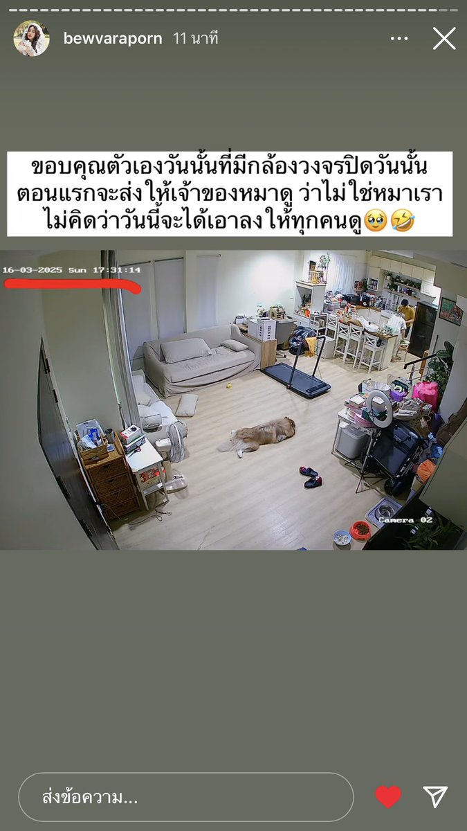 **จากกล้องวงจรปิด คือวันที่16/3 เป็นวันที่มีคนแจ้งในไลน์หมู่บ้านว่ามีไซหลุด2ตัว แต่ที่เกิดเหตุคือวันที่14นะคะ เผื่อทุกคนเข้าใจผิด แต่แจ้เอามาลงเพราะแจ้งเจ้าของปอมไปแล้วว่าที่หลุดรอบนี้ไม่ใช่กล้วยกับแรค แต่ฝ่ายกรณี ยังเอาไลน์มาลงให้คนเข้าใจบ้านแจ้ผิด #บิววราภรณ์