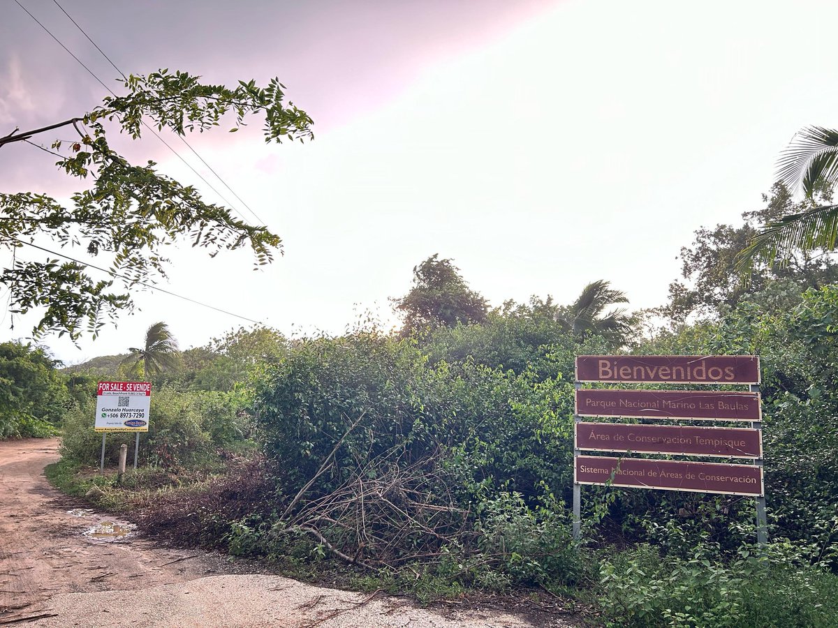 mau_qe's tweet photo. Estan cortando  vegetación  y árboles en el Parque Marino Las Baulas sector Playa Grande, en Playa Ventanas. 

Hay terrenos en venta "nuevos"  
Cerca del Parque Nacional. 
 POR AQUÍ LO DEJO.

 Yo estuve ahi en diciembre y no estaba  asi https://t.co/8LWVnunjaj