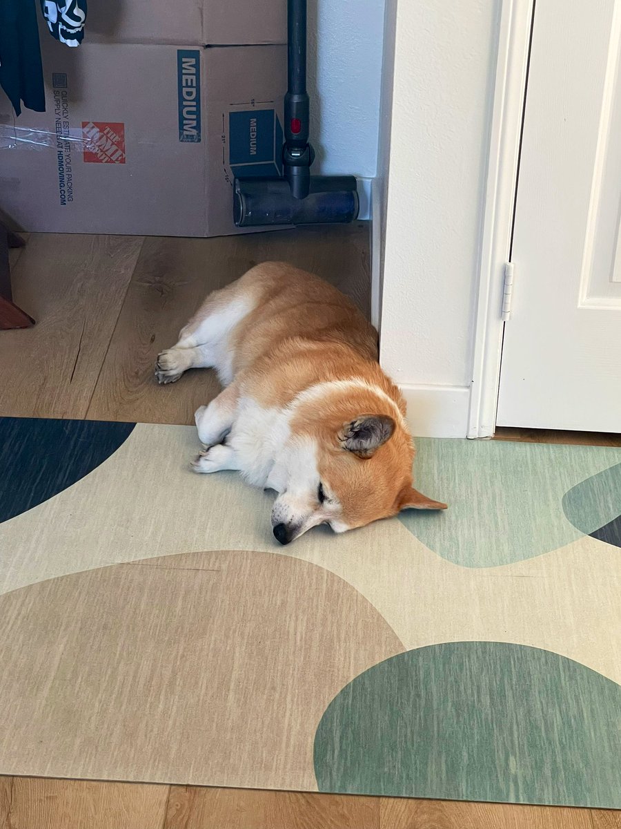 ccorgik's tweet photo. 다들 4/4이후 좀더 편안한 나날 보내고 계시길 ^_^ https://t.co/ClyuQpBU95