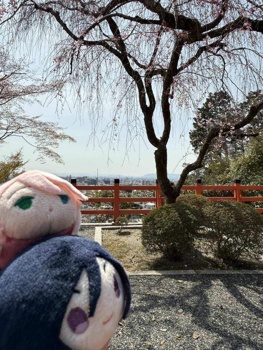 kantaro104's tweet photo. 最近はギルメンと御朱印巡りして来たりしてたやで(･ω･三･ω･)ﾌﾝﾌﾝ https://t.co/FmWucXim1j