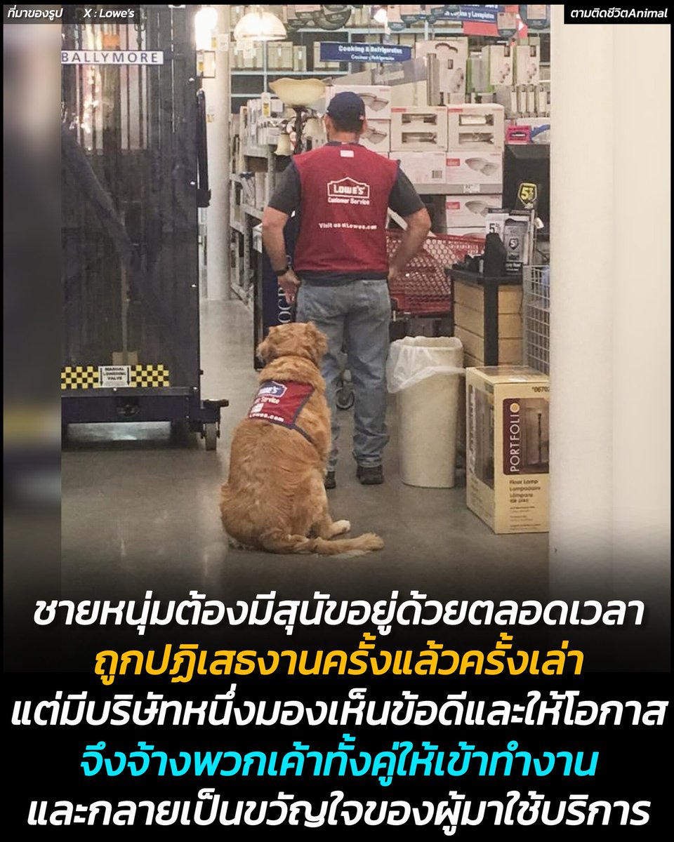 อดีตทหารผ่านศึกหางานไม่ได้ เพราะเค้าต้องมีสุนัขติดตัวอยู่ตลอดเวลา ถูกปฏิเสธงานครั้งแล้วครั้งเล่า แต่สุดท้ายก็ได้งานที่ห้างสรรพสินค้าแห่งหนึ่ง บริษัทรับรู้และเข้าใจ จึงจ้างทั้งเจ้าของและน้องหมาเข้าทำงาน จากนั้นไม่นานทั้งคู่ก็กลายเป็นขวัญของผู้มาใช้บริการ