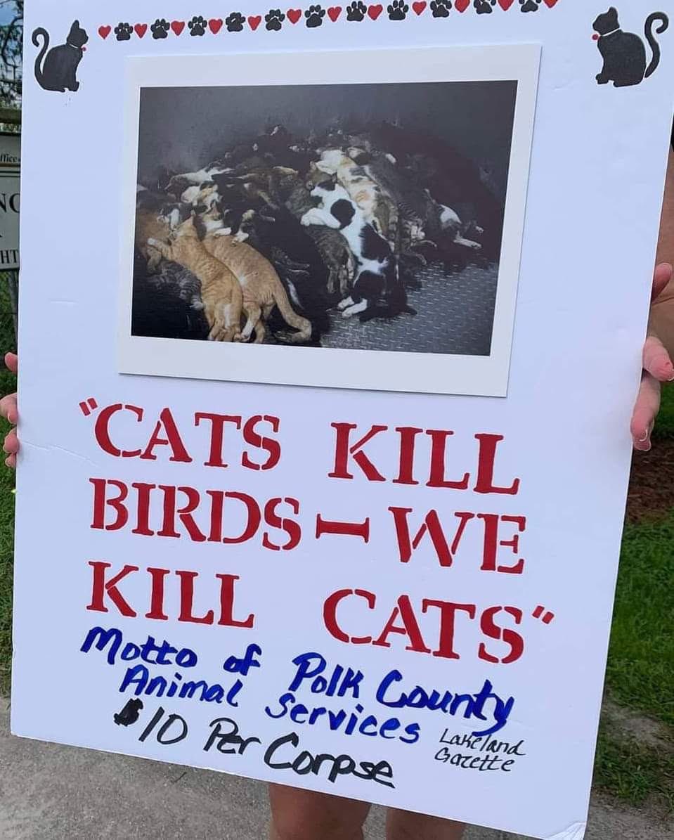 theeGarfield's tweet photo. @Chrissi16228964 @PolkCoSheriff May all involved be tried, hung, and burn in hell. https://t.co/QqiG0zsdtS