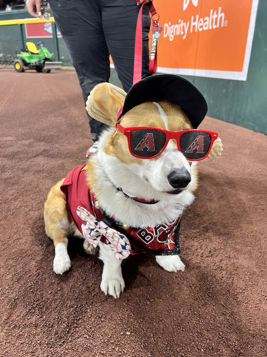 PHNX_Dbacks's tweet photo. Define aura. https://t.co/iK01v4Mjf6