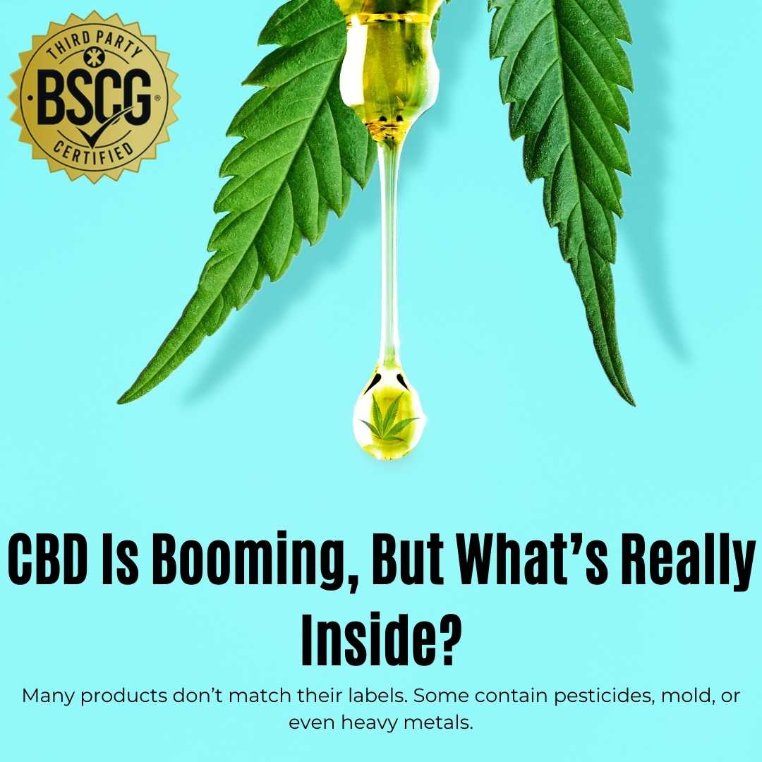 BSCG Certified tweet media