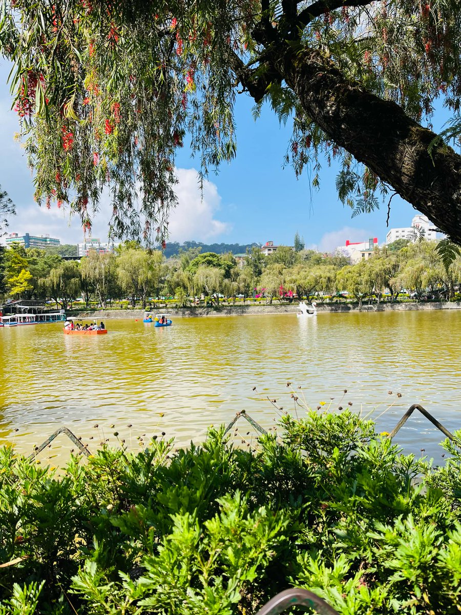 makki2292's tweet photo. Hello Again Baguio. 

#alterbaguio #AlterElyu https://t.co/1oPEP7Aph9