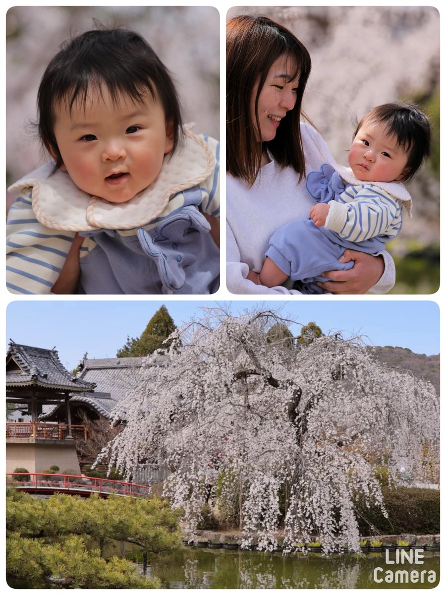 ～ステキな出逢い🌸～

岡山市北区吉備津の宇賀神社🎶

とっても可愛い幼児を
抱っこしてる奥様が💕😊

お写真撮らして頂けませんか⁉️

良いですよ🎵😊

有り難う御座います🎶
パチリパチリ📸
こんな感じに撮れました😃✌️

わぁ～ステキ💞

SNS投稿も承諾頂きました🙇‍♀️

ステキな出逢いに感謝🌸
m(_ _)m