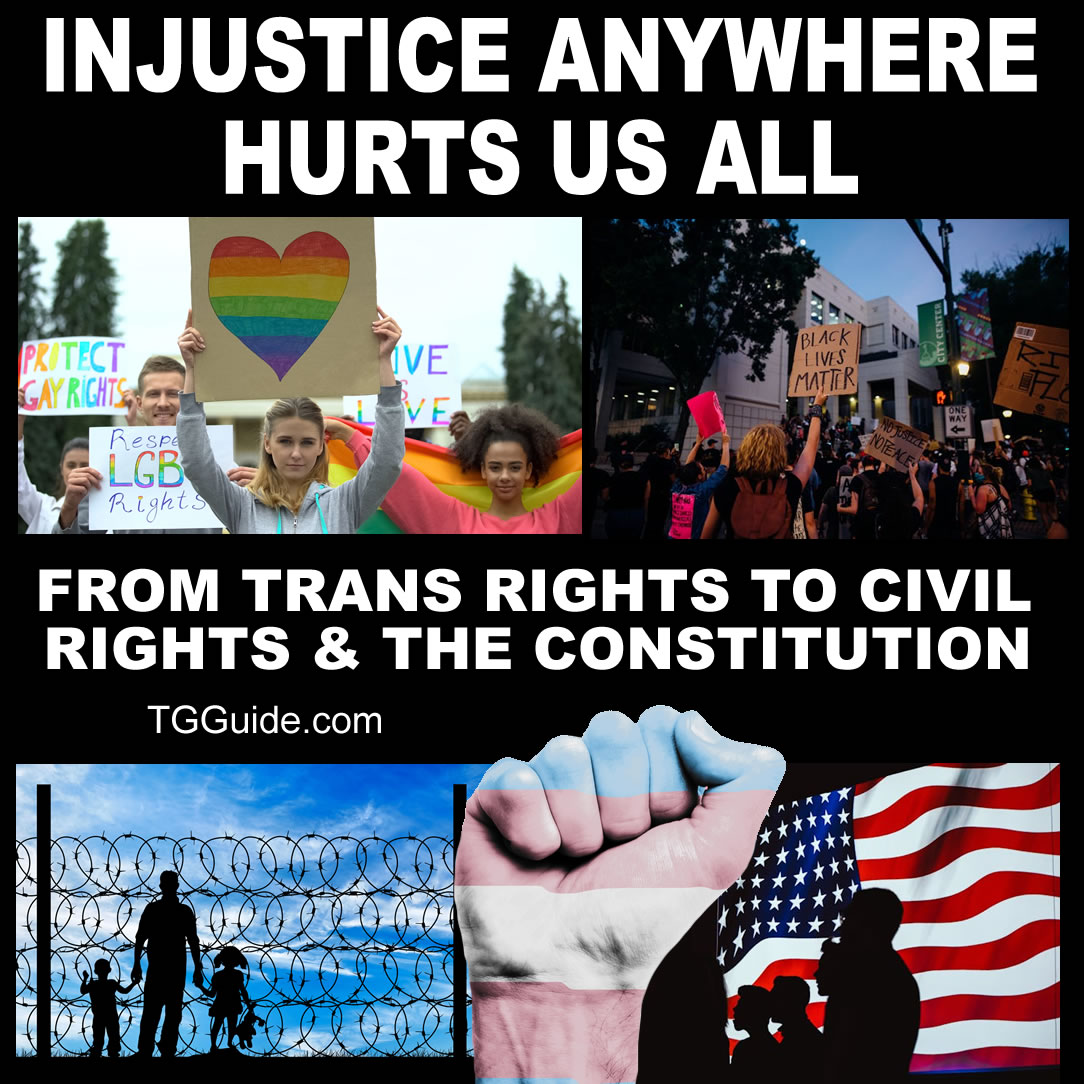 Transgender Guide tweet media