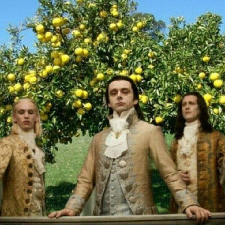 nderakoreami_'s tweet photo. Re de chetos tener plantas de pomelo https://t.co/lQGfSyhSRd
